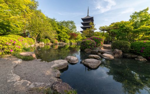 The Tō-ji Pagoda