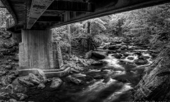 POTW: Middle Prong and Tremont Road