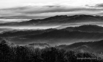 POTW: Stay a Little Longer