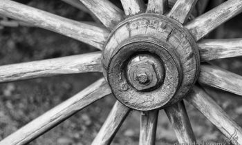 POTW: The Wagon Wheel