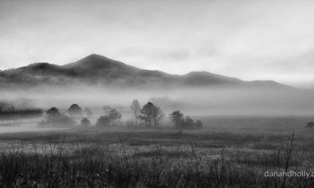POTW: Fog in the Valley
