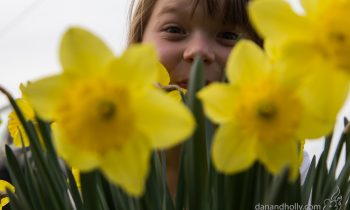 POTW: My Spring Flower Helper