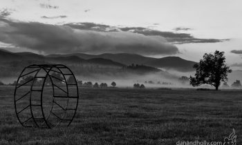 POTW: Off Sparks Lane