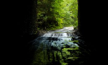 POTW: Inside the Nemo Tunnel