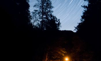 POTW: Lighting Up the Night