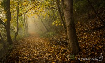 POTW: The Foggy Path