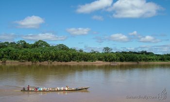 POTW: Life in the Amazon