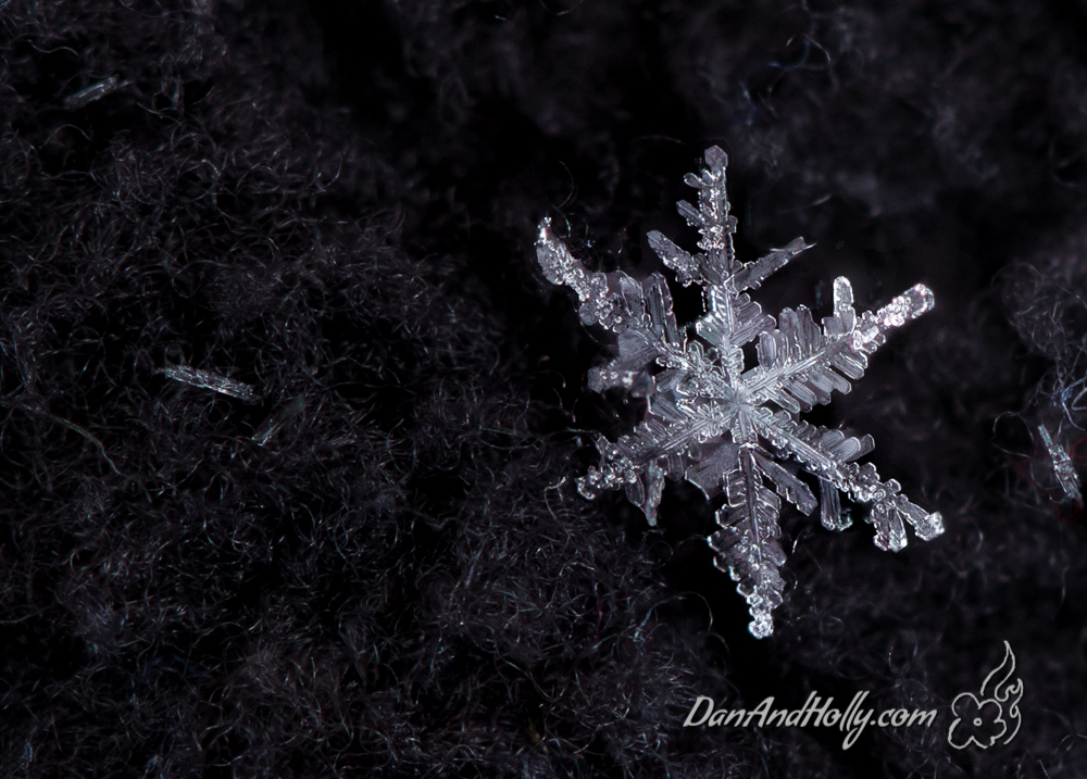 Photographing a Snowflake