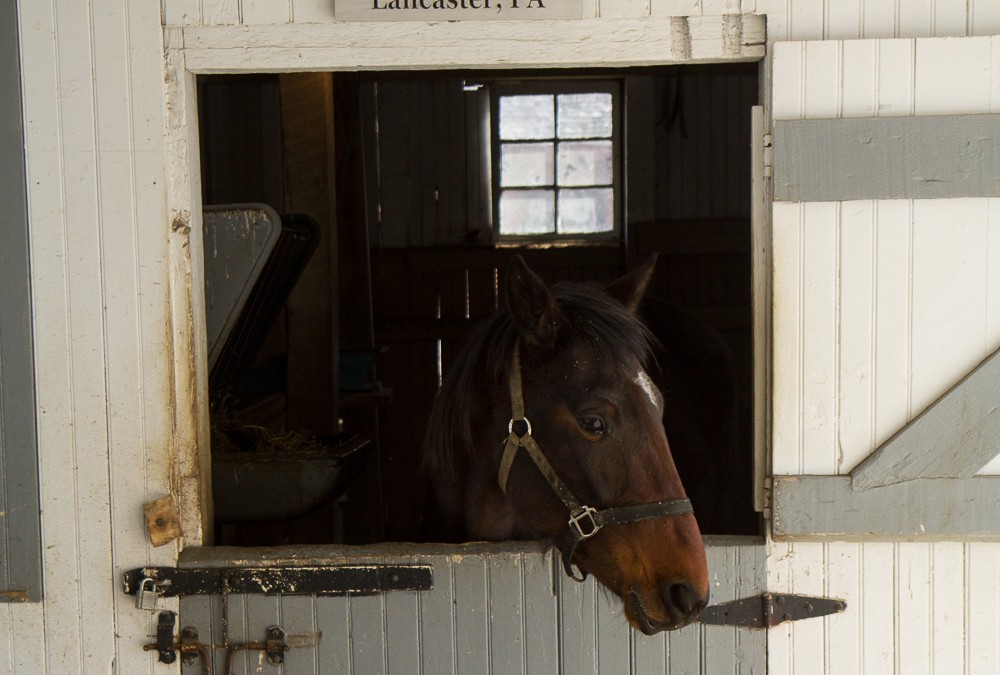 Attraction Review: The Amish Village