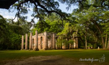 The Old Sheldon Church