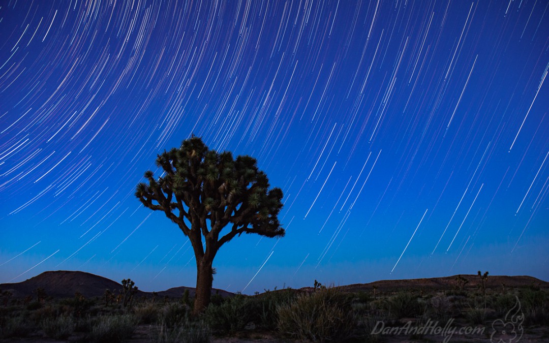 The Spinning Earth in the Desert