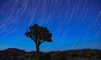 The Spinning Earth in the Desert
