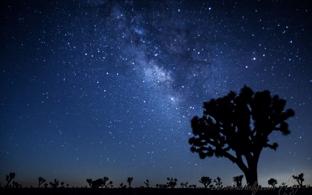 The Milky Way over Joshua Tree
