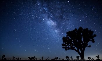 The Milky Way over Joshua Tree