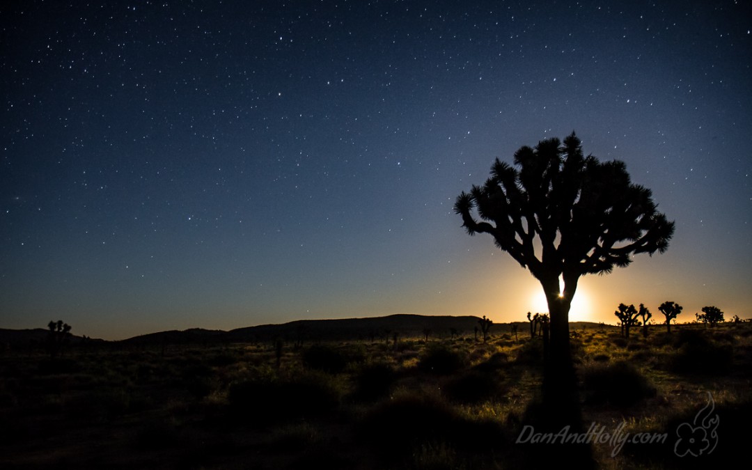 Moonrise in the Desert