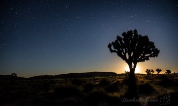 Moonrise in the Desert