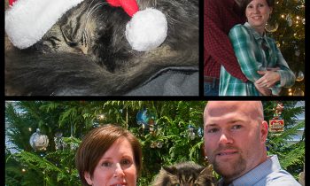 Merry Christmas – 2015
