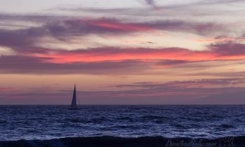 Sailing into the Sunset