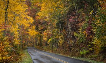 The Road to Fall Colors