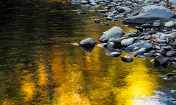 Fall Reflections