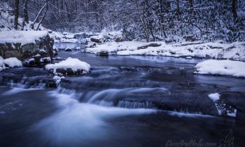 Winter Wonderland