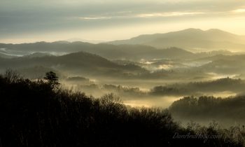 Morning Light in the Smokies