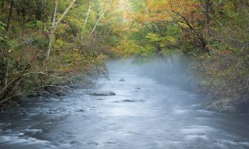 Fog on the Water