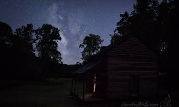 POTW: Fireflies in the Trees