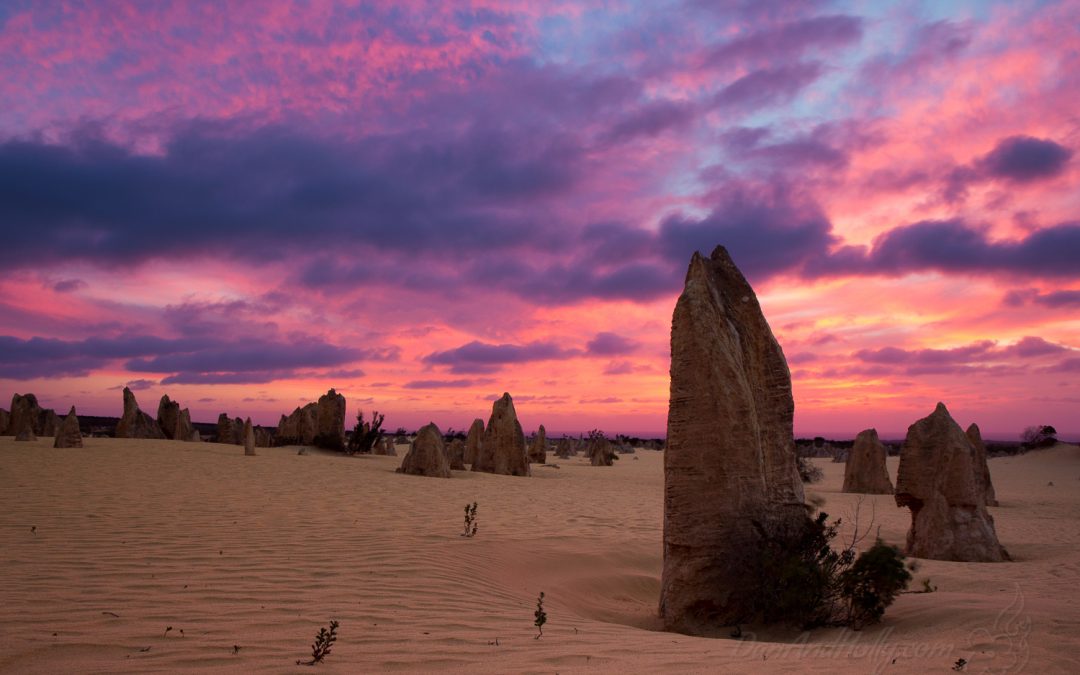 The Pinnacles of Nambung National Park