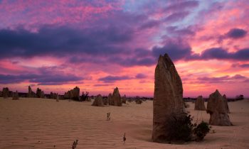 The Pinnacles of Nambung National Park