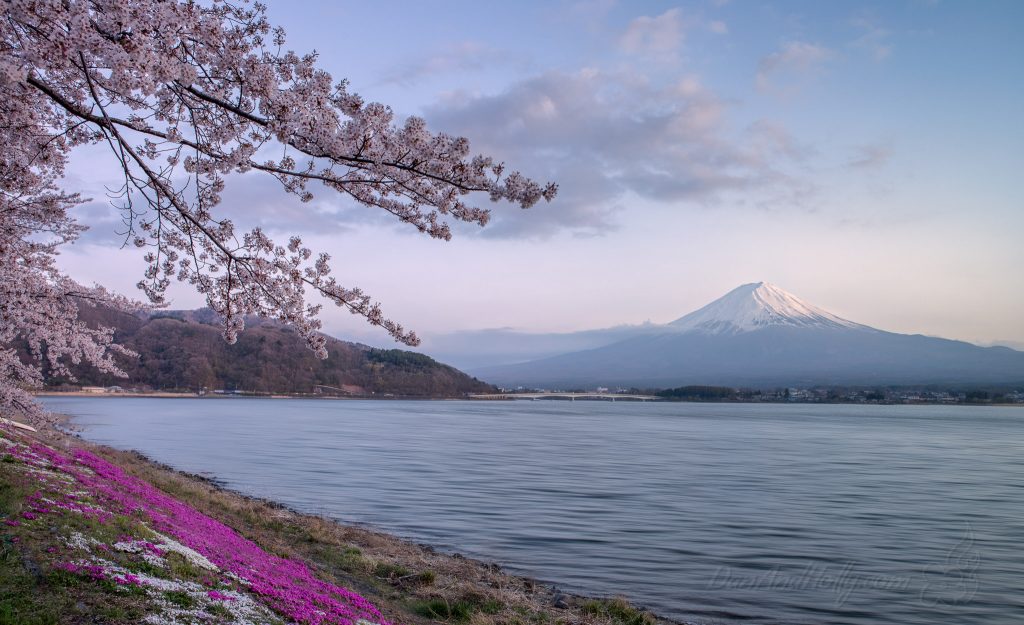 How was mount fuji formed picture