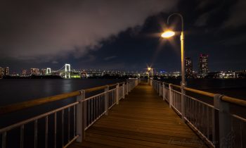 Odaiba Kaihin-Koen Park at Night