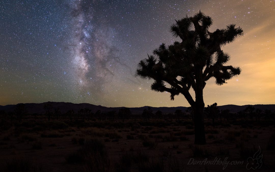 The Milky Way Over Joshua Tree – Part 2