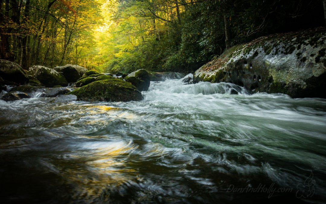 Autumn in the Streams