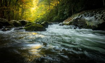 Autumn in the Streams