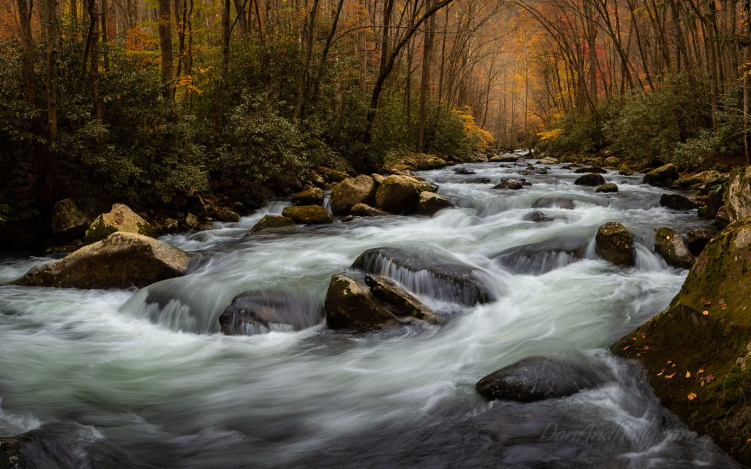 The End of Fall Colors at Big Creek