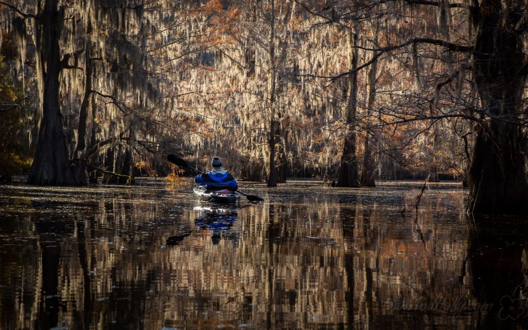 A Photo Essay of the Bayous of East Texas