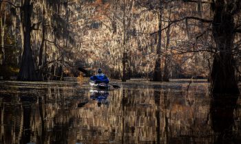 A Photo Essay of the Bayous of East Texas