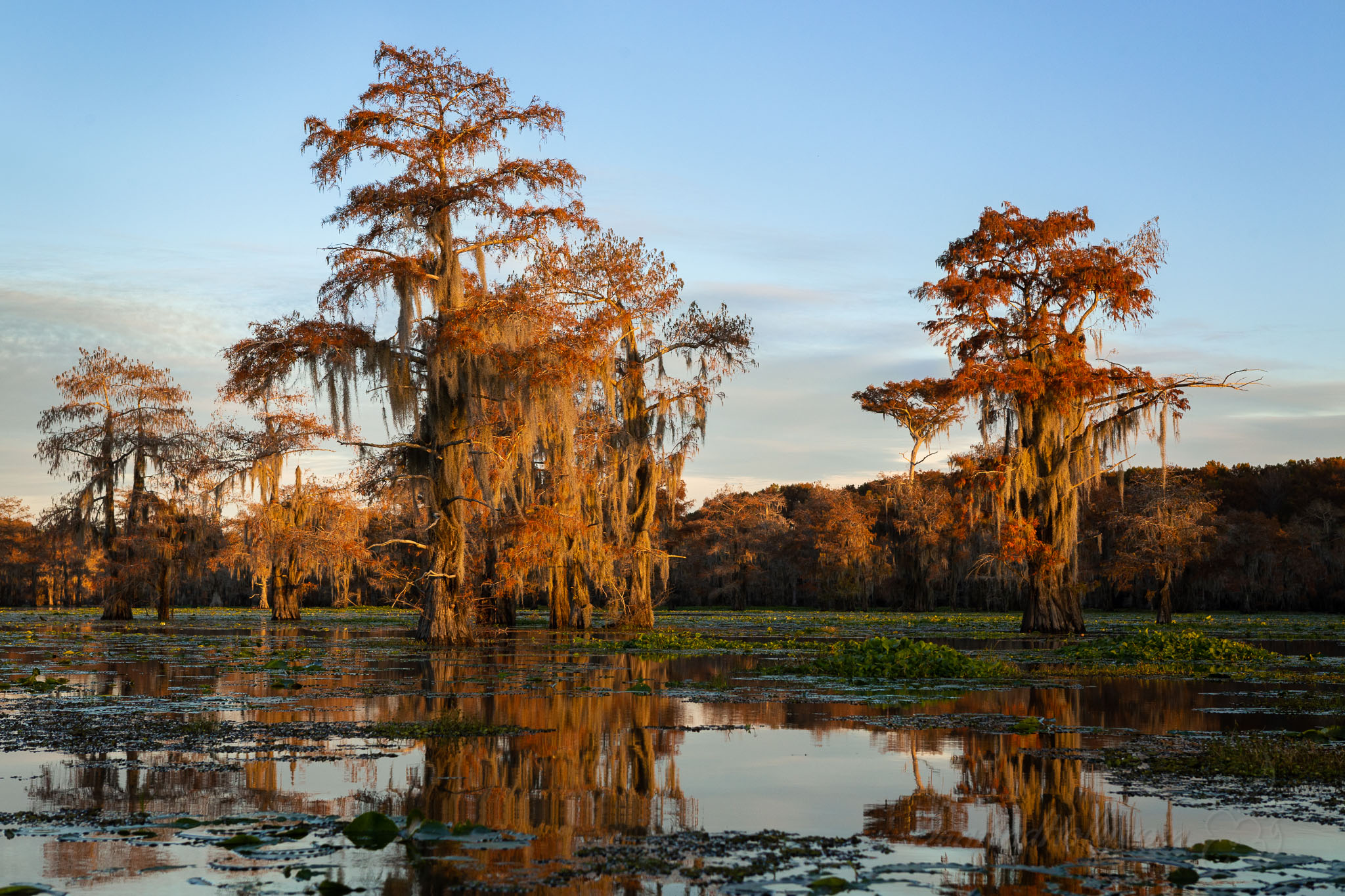 Floating Down The Bayou At Peggie Bill Blog Floating Down The Bayou At Peggie Bill Blog