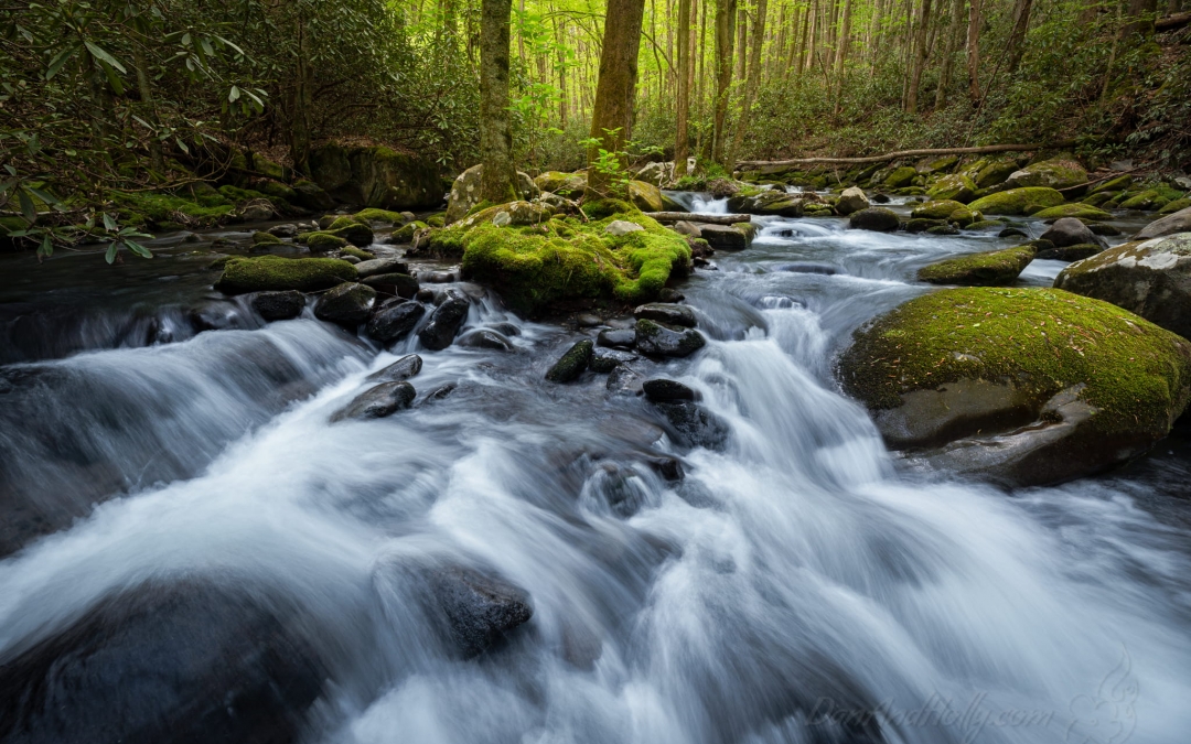 A Full Stream with Spring Greens