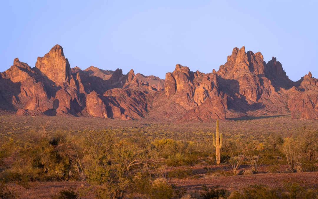 Late Light in the Desert