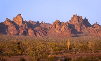 Late Light in the Desert