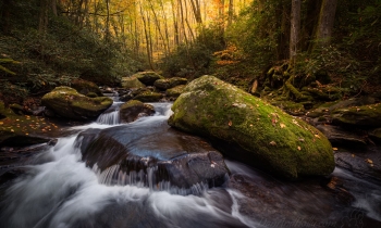 Up Sam’s Creek