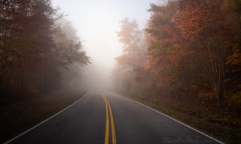 Driving off into the Fog