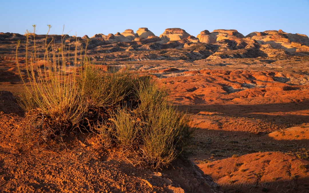 One of the Craziest Landscapes I’ve Ever Seen