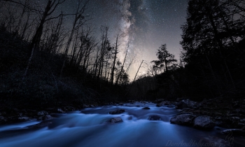 A Long Winter’s Stream