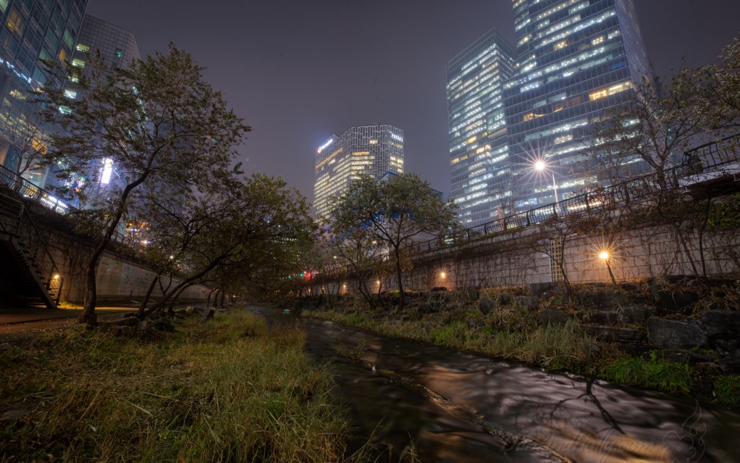 Cheonggyecheon – Nature Restored to the City