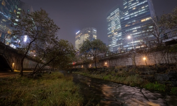 Cheonggyecheon – Nature Restored to the City