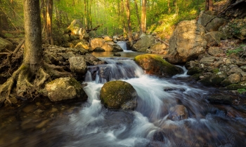 Late Light on Gee Creek