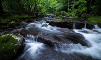 The Middle Prong Fan